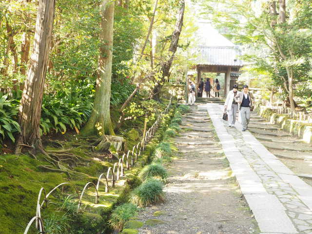 寿福寺の苔むした参道